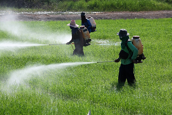 AGRO-PESTICIDE-FERTILIZER-INDUSTRIES
